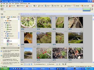 Pantallazo de Photoshop Album