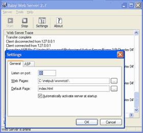 Baby ASP Web Server