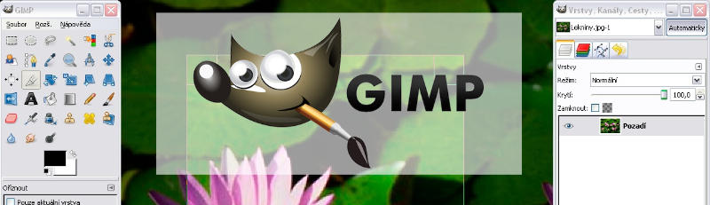 Gimp